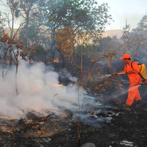 Naturatins inicia campanha de prevenÃÂ§ÃÂ£o aos incÃªndios florestais e queimadas ilegais