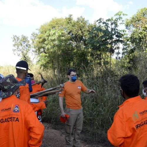 Palmas terÃÂ¡ ComitÃª de PrevenÃÂ§ÃÂ£o, Controle e Combate aos IncÃªndios Florestais e Urbanos