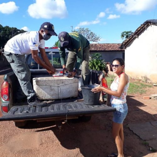 Naturatins realiza patrulhamento aquÃÂ¡tico em rios e lagos durante OperaÃÂ§ÃÂ£o CantÃÂ£o