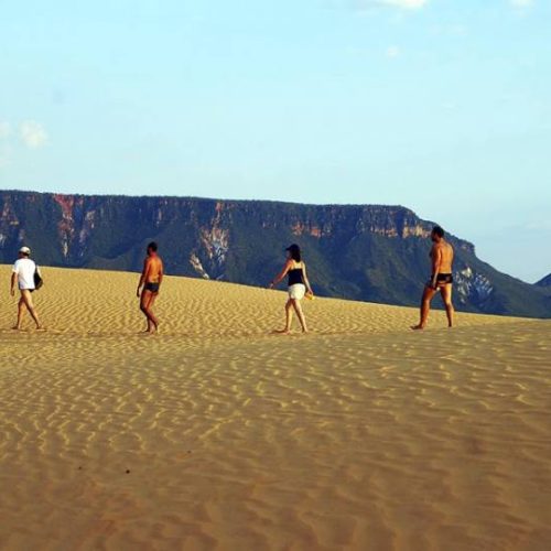 Governo do Tocantins passa a contar com R$ 40 milhÃÂµes para socorrer os empreendedores do Estado