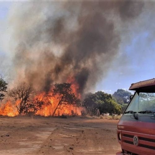 900 mil metros quadrados de terreno em Palmas ÃÂ© destruÃÂ­do por incÃªndio