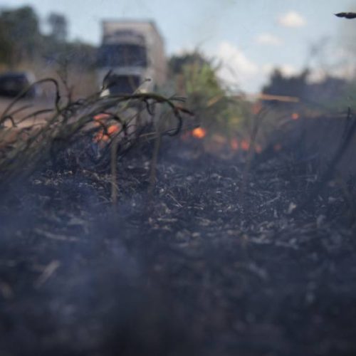 Primeiros dias de setembro tÃªm nÃÂºmero recorde de queimada em todas as regiÃÂµes do Tocantins