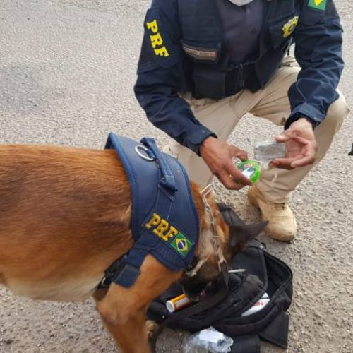 Homem com droga escondida entre mercadorias ÃÂ© flagrado por agentes da Policia RodoviÃÂ¡ria