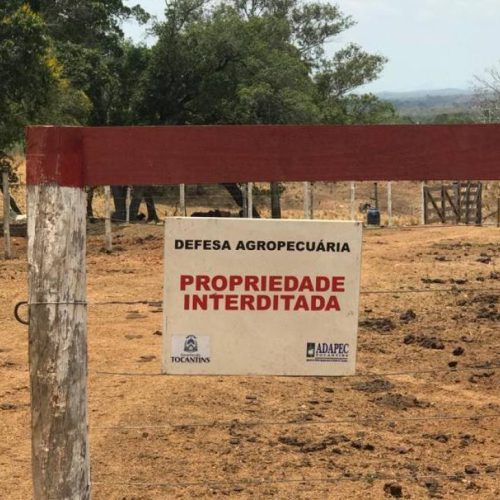 Fazenda ÃÂ© interditada apÃÂ³s denÃÂ¹ncia de uso de cama de frango; animais podem ser sacrificados