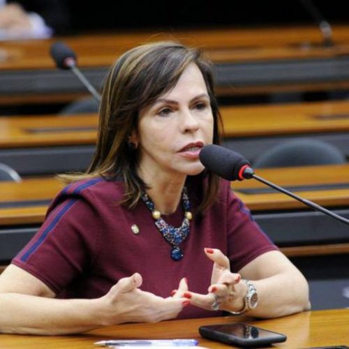 Coordenadora da bancada feminina, Dorinha avalia que candidaturas femininas cresceram em 2020