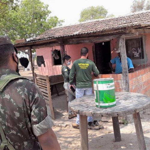 ApÃÂ³s chuvas, OperaÃÂ§ÃÂ£o Integrada de FiscalizaÃÂ§ÃÂ£o Contra IncÃªndios Florestais volta a acontecer