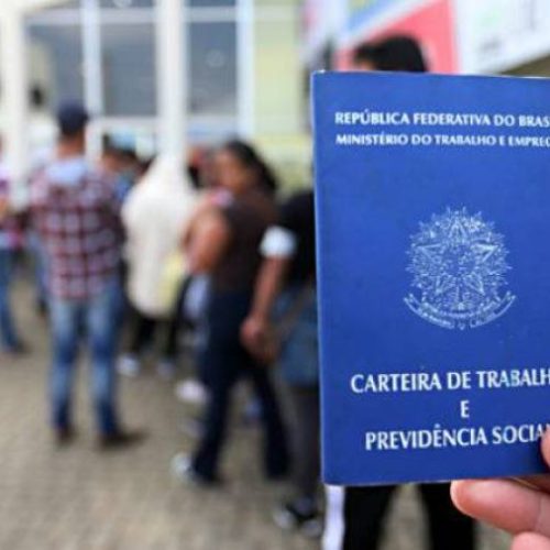 Com taxa de sobrevivÃªncia de 81,4%, Tocantins tem saldo negativo