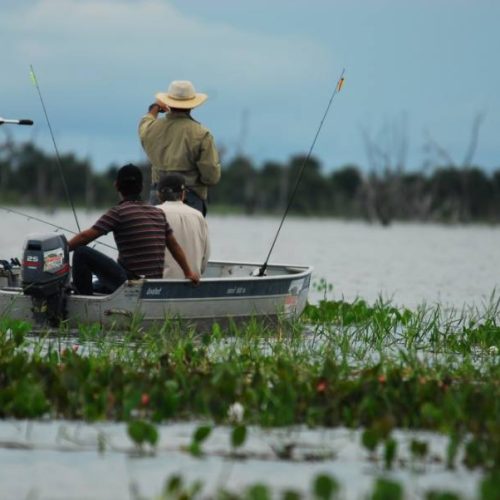 Tocantins fixa inÃÂ­cio da Piracema para o prÃÂ³ximo dia 1ÃÂº de novembro; documento foi publicado ontem, 22