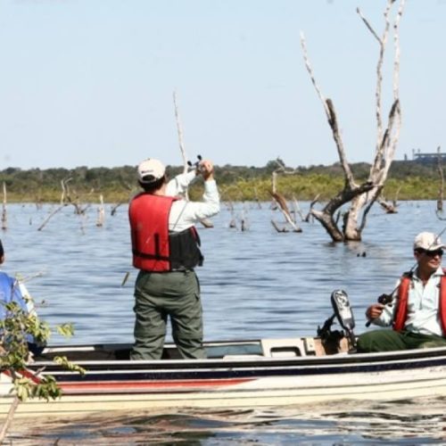 Terminou neste ÃÂºltimo domingo, 28, o perÃÂ­odo da piracema no Tocantins