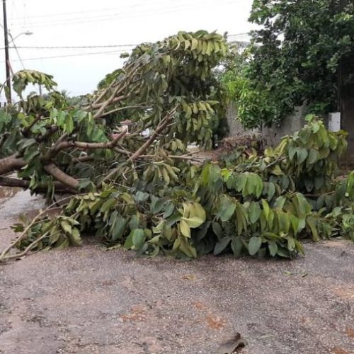 Chuva com ventos de atÃÂ© quase 50km/h tiraram o sono de moradores de Colinas do Tocantins, MarianÃÂ³polis e Pequizeiro neste fim-de-semana