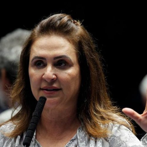 KÃÂ¡tia Abreu diz que Senado Brasileiro estÃÂ¡ fazendo movimento para combate a pandemia do novo coronavÃÂ­rus