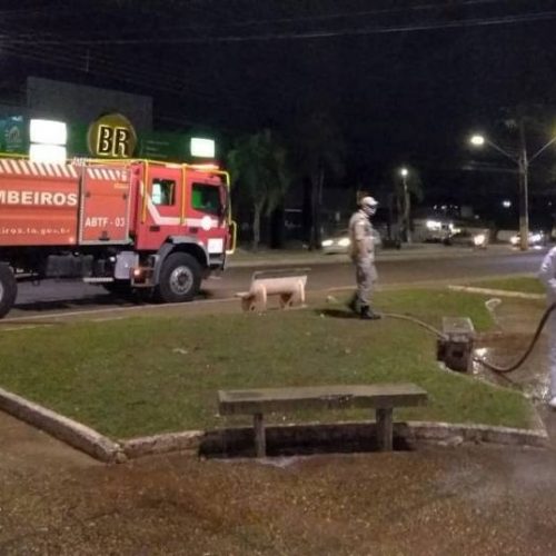 Servidores do Corpo de Bombeiros se adequam ao novo decreto e passam a atender home office