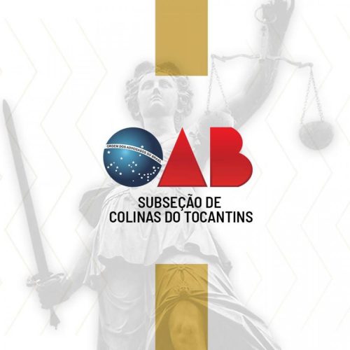 OAB SubseÃÂ§ÃÂ£o de Colinas propÃÂµe reestabelecimento da ordem processual em videoconferÃªncia