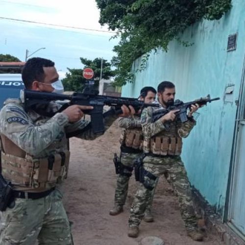 Operação da Polícia Civil prende suspeito de furtar e matar gado em fazenda no sul do Tocantins