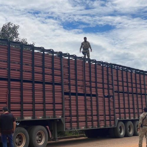 Forças de segurança realizam operação para combate do crime organizado entre TO e MA