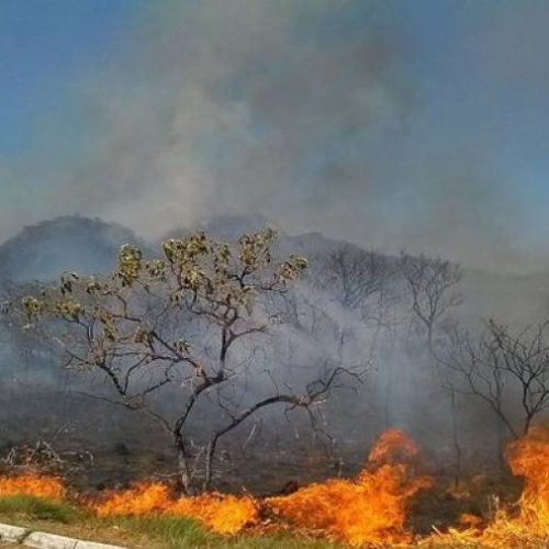 Estado do Tocantins contabiliza mais de mil focos de incÃªndios, diz INPE