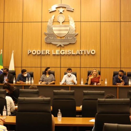 Fecomércio e empresários participaram de reunião na CÃ¢mara Municipal em busca de reabertura dos shoppings da Capital