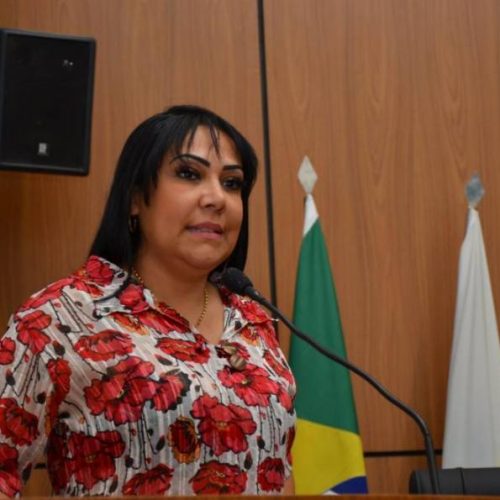 Vereadora Professora Janad questiona suposta incoerência em relatório apresentado durante audiência de prestação de contas da Prefeitura de Palmas