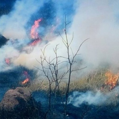 Estado do Tocantins aparece em 2Âº lugar no ranking de focos de queimadas nas últimas 48 horas em todo o Brasil, diz Inpe