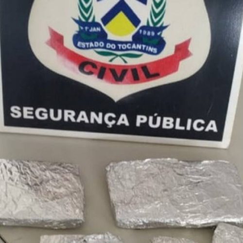 Operação da Policia Civil encontra 700 gramas escondidas em bananeiras em Palmeiras do Tocantins