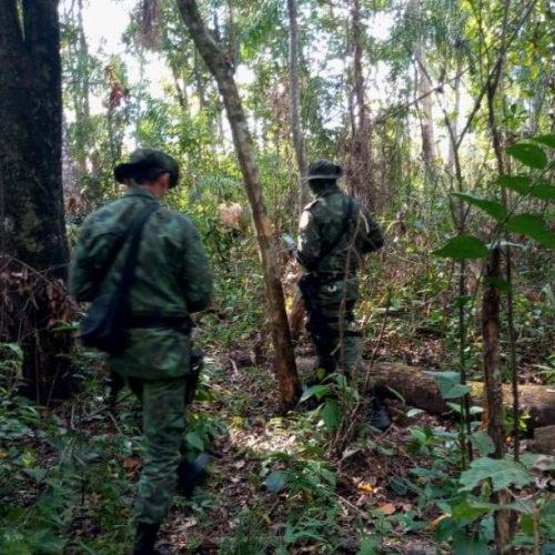 Fiscalização integrada atende denúncias de crime ambiental no Parque do Cantão