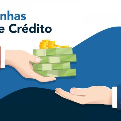 Prefeitura e Sebrae realizam Dia de Crédito para empresários, em Colinas do Tocantins