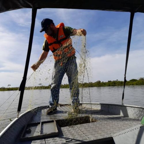 Fiscalização no Rio Tocantins apreende 2650 metros de redes em junho