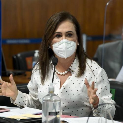 Cresce a expectativa para que Kátia Abreu assuma vaga de ministra do TCU, diz imprensa nacional