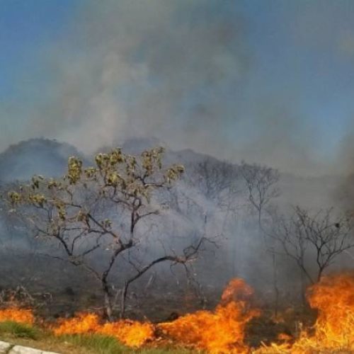 Licenças para queimadas controladas são suspensas no Tocantins