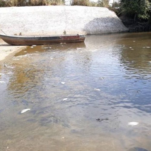 Ação pede que Naturatins  comprove destruição de barragem no rio Dueré