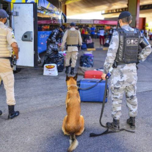 PM realiza operação contra tráfico de drogas no terminal rodoviário de Palmas