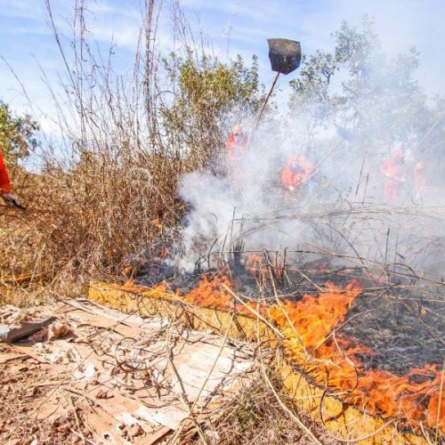 Tocantins em chamas: Dados do Instituto Nacional de Pesquisas Espaciais revelam que o Estado lidera ranking de focos de queimadas no Brasil