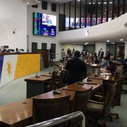 A Concessão pública do Parque Estadual do Jalapão, Cantão, Lajeado e Monumento Natural das Ãrvores Fossilizadas do Estado na interface da justiça