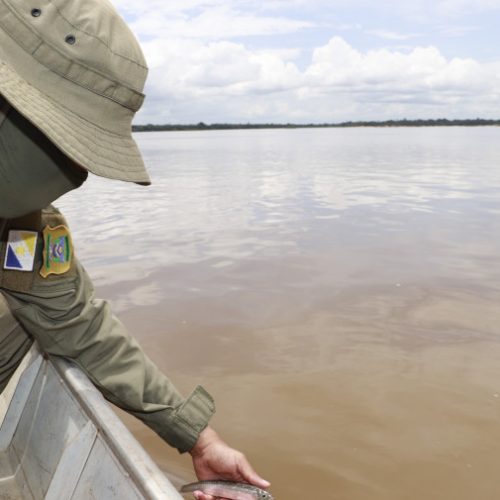 Fiscalização Ambiental do Naturatins atua em lagos e rios do Tocantins - Foto: Walker Ribeiro/Governo do Tocantins