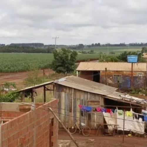 ocantins crescendo com seus 383 assentamentos e mais de 23 mil famílias construindo um novo futuro no campo