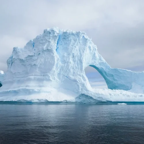 A Antártica, com seus cenários extremos e gelados, serve como um laboratório natural para pesquisas científicas globais sobre clima, biodiversidade e saúde animal.